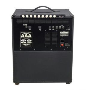 Ashdown AAA 300 210T