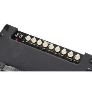 Ashdown AAA 300 210T