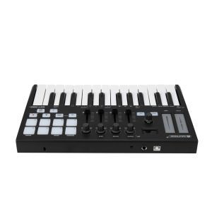Omnitronic KEY-288 + Midi Controller