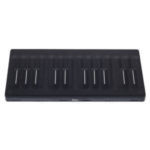 Roli Seaboard Block
