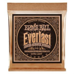 Ernie Ball 2550