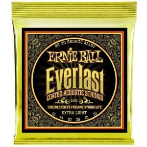 Ernie Ball 2560