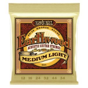 Ernie Ball Earthwood 2003 Medium