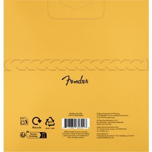 Fender AuriSonic 70CL Bronze