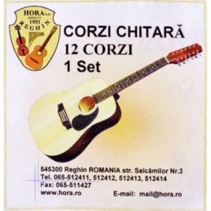 Hora Metal 12 String