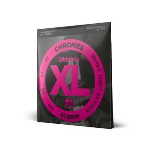 Daddario 45-100 Regular Light Medium Scale XL Chromes