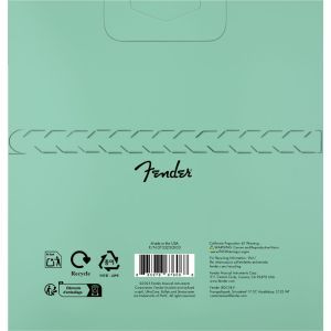 Fender UltraCore 4250L 9-42