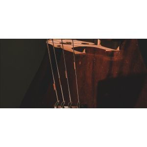 Tempera HYBRID 5-String Set