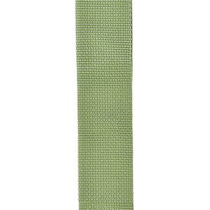 Daddario Polypro Guitar Strap Green
