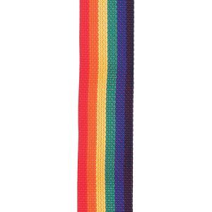 Daddario Polypro Guitar Strap Rainbow