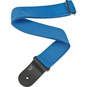Daddario PWS102 Planet Waves Blue