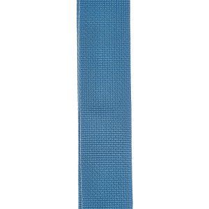 Daddario PWS102 Planet Waves Blue