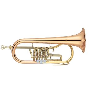 Filigornuri cu Valve