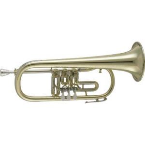 V.F.Cerveny CFH 501px BB V.F.Cerveny CFH 501px BB