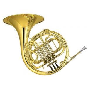 V.F.Cerveny CHR 342m Bb/f V.F.Cerveny CHR 342m Bb/f