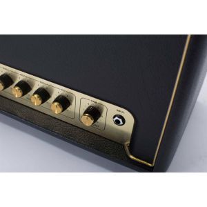 Marshall Origin 20H + MX212A