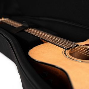 Cort Premium Deluxe CPAG100