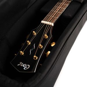 Cort Premium Deluxe CPAG100
