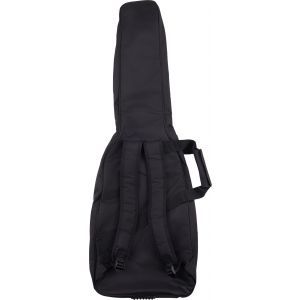 EVH Wolfgang Striped Series