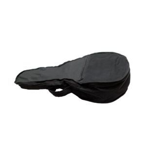 Flame Mandolin Cover