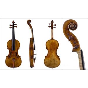 Instrumente muzicale cu arcus