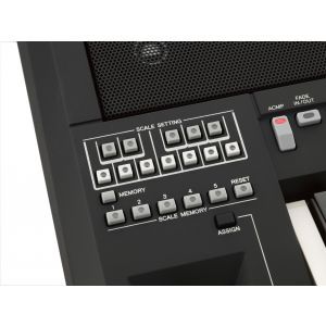 Yamaha PSR A3000