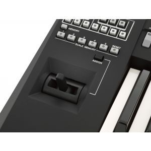 Yamaha PSR A3000