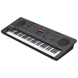 Yamaha PSR-A700