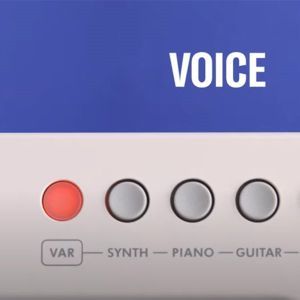 Yamaha Sonogenic SHS 300 Blue