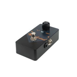 Daddario PW-LNL-01B Large Black