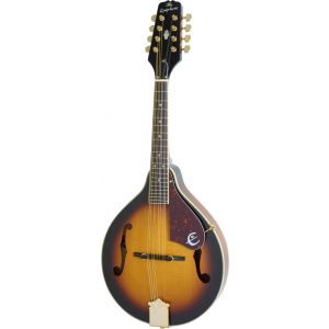 Epiphone MM30