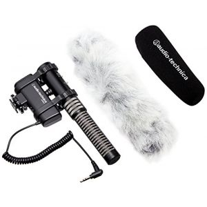 Microfoane Camere Video Zoom