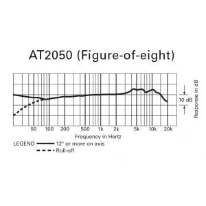 Audio Technica AT 2050