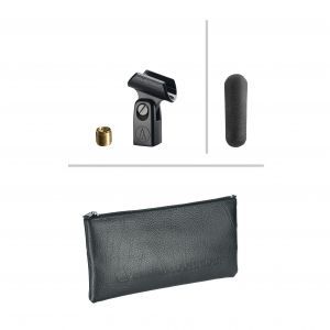 Audio Technica AT 875r