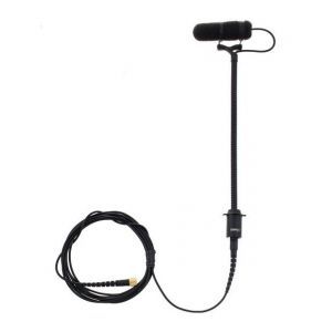 DPA d:vote 4099 Double Bass