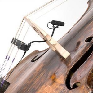DPA d:vote 4099 Double Bass