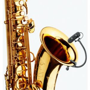 DPA d:vote 4099 Saxophone