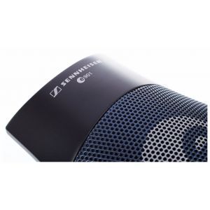 Sennheiser E 901