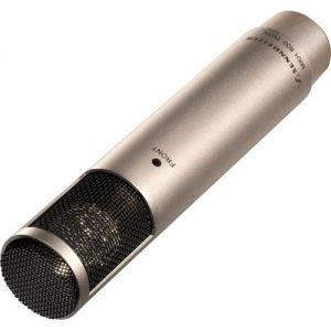 Sennheiser MKH 800 Twin Ni