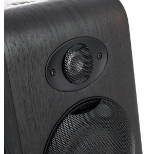 Focal Shape 50