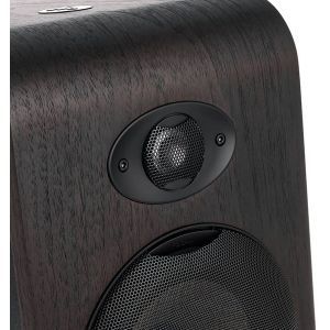 Focal Shape 65