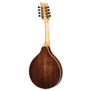 Ortega Americana Series RMA200PF Purple Fade