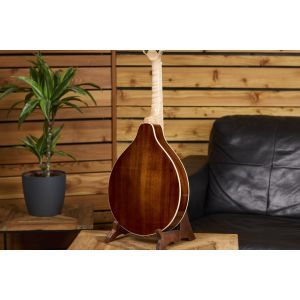 Ortega Americana Series RMA200PF Purple Fade