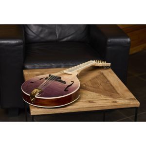 Ortega Americana Series RMA200PF Purple Fade