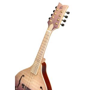 Ortega Americana Series RMA200PF Purple Fade