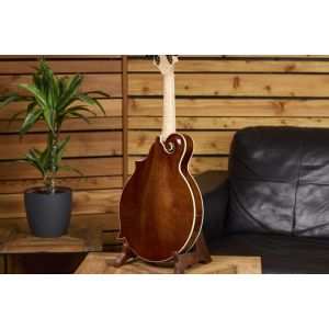 Ortega Americana Series RMF200PF Purple Fade