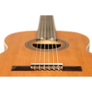 Ortega R20GWN-L Left Handed 4/4