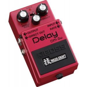 Boss DM 2W Delay
