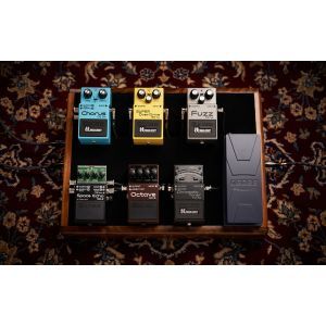 Boss RE-2 Space Echo Delay/Reverb