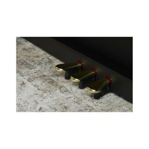 Casio AP-300 Black SET